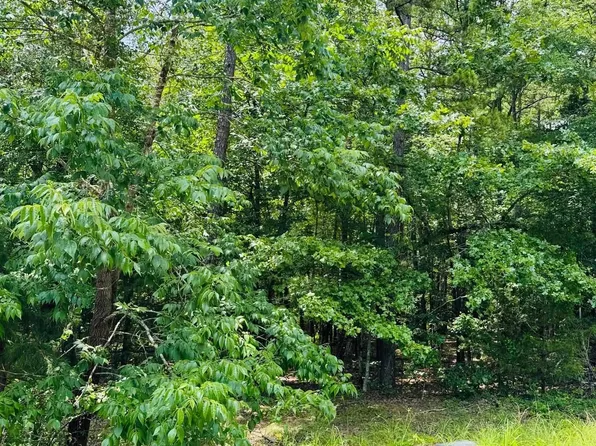 (undisclosed Address), Heber Springs, AR 72543