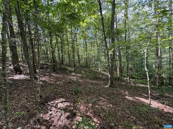 Tm 23 5a Mitchell Mountain Rd, Haywood, VA 22722