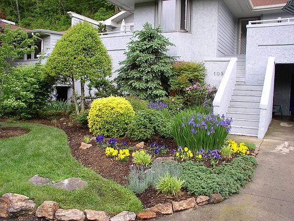 landscaping at front