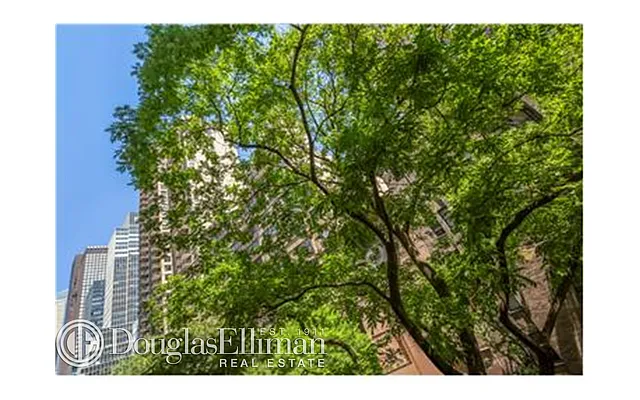 Rented by Douglas Elliman | media 7