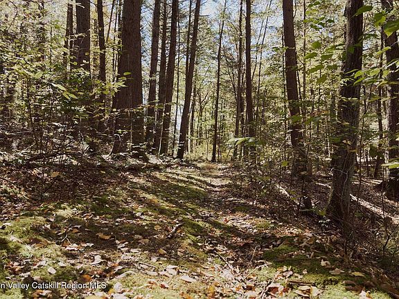 2nd image of Off Potter Hill Road