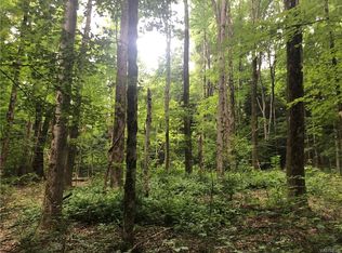 3 Deer Run Rd, Holland, NY 14080