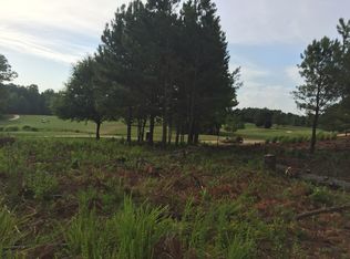 805 Carnegie Court #LOT 707, Locust Grove, GA 30248