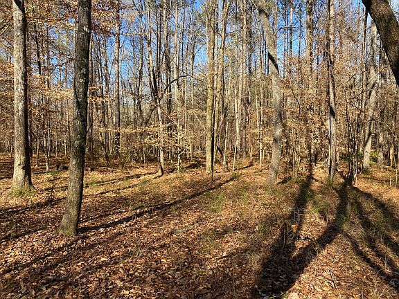 3rd image of 5600 Black Creek Dr