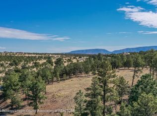4 Spencer Dr, Alto, NM 88312
