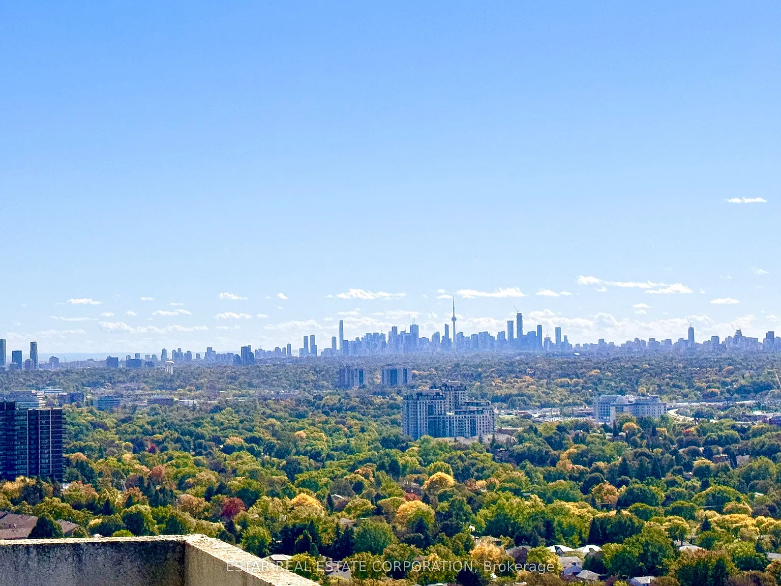 2 bed, $3,000 — Photo 2