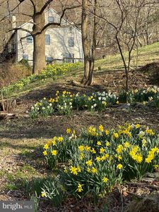 236 Piedmont Orchard Rd, Linden, VA, 22642