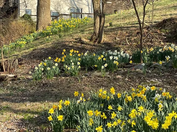 236 Piedmont Orchard Rd, Linden, VA 22642