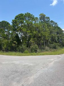 Flamingo Ln, Navarre, FL, 32566