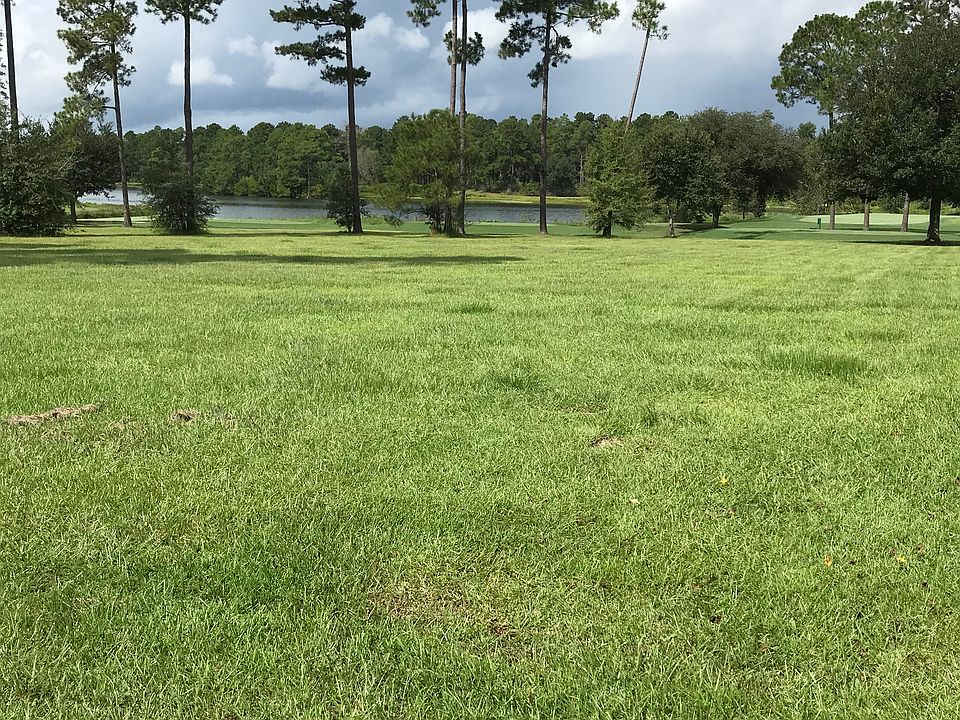 2nd image of Money Hill Plantation #86
