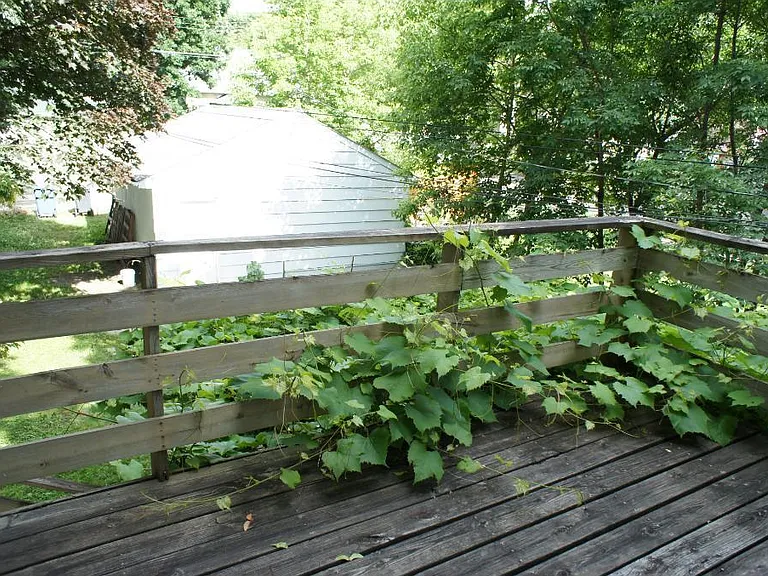 3005 Tyler St NE #2 — Photo 7