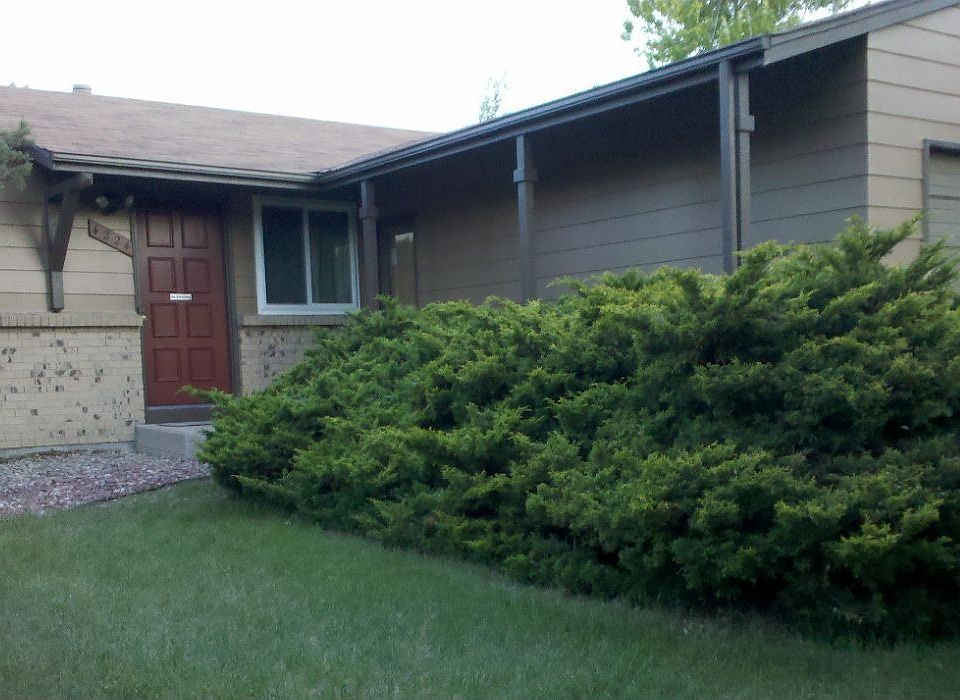 Front view of home with bush