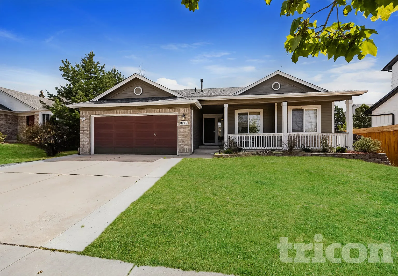 8195 Radcliff Drive Colorado Springs CO — Photo 1