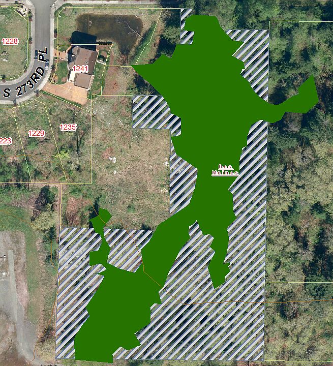 Wetland Delination
