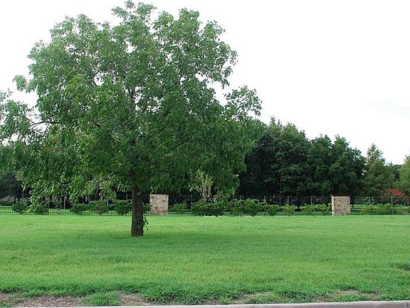 5th image of 23 Dobbins Xing Lot 17