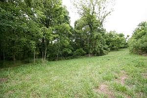 2nd image of Old Springfield Rd
