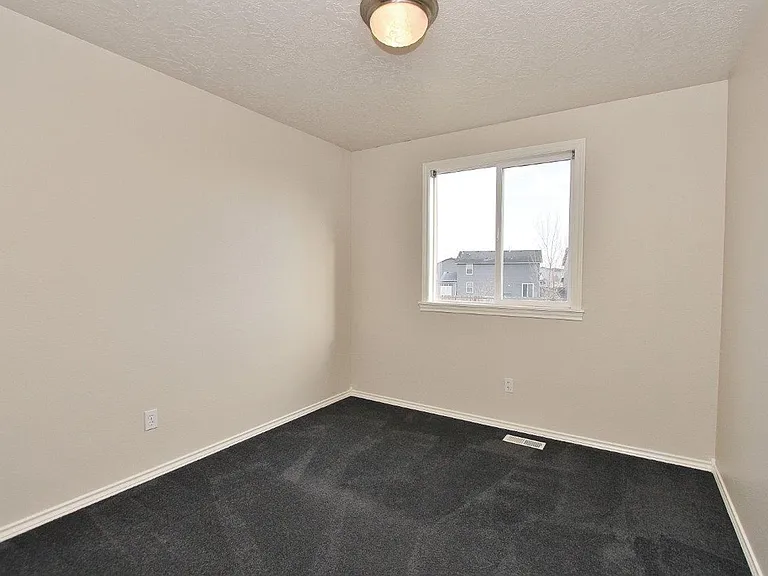 17696 Dark Zebra Way — Photo 21
