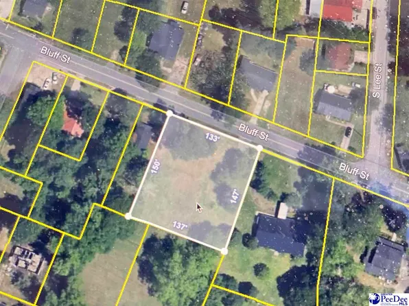 816 Bluff St, Marion, SC 29571