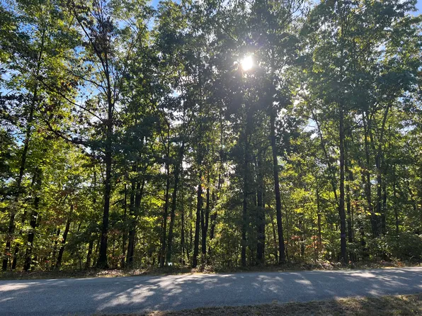 119 Walnut Springs Drive, Cape Fair, MO 65624