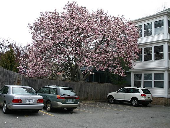Two car assigned parking