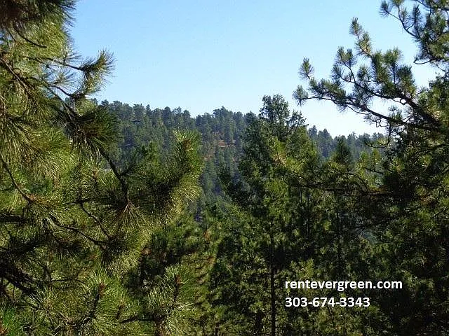 4150 Aspen Ln — Photo 21