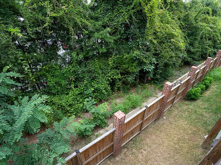 4509 Ryelan Dr — Photo 14
