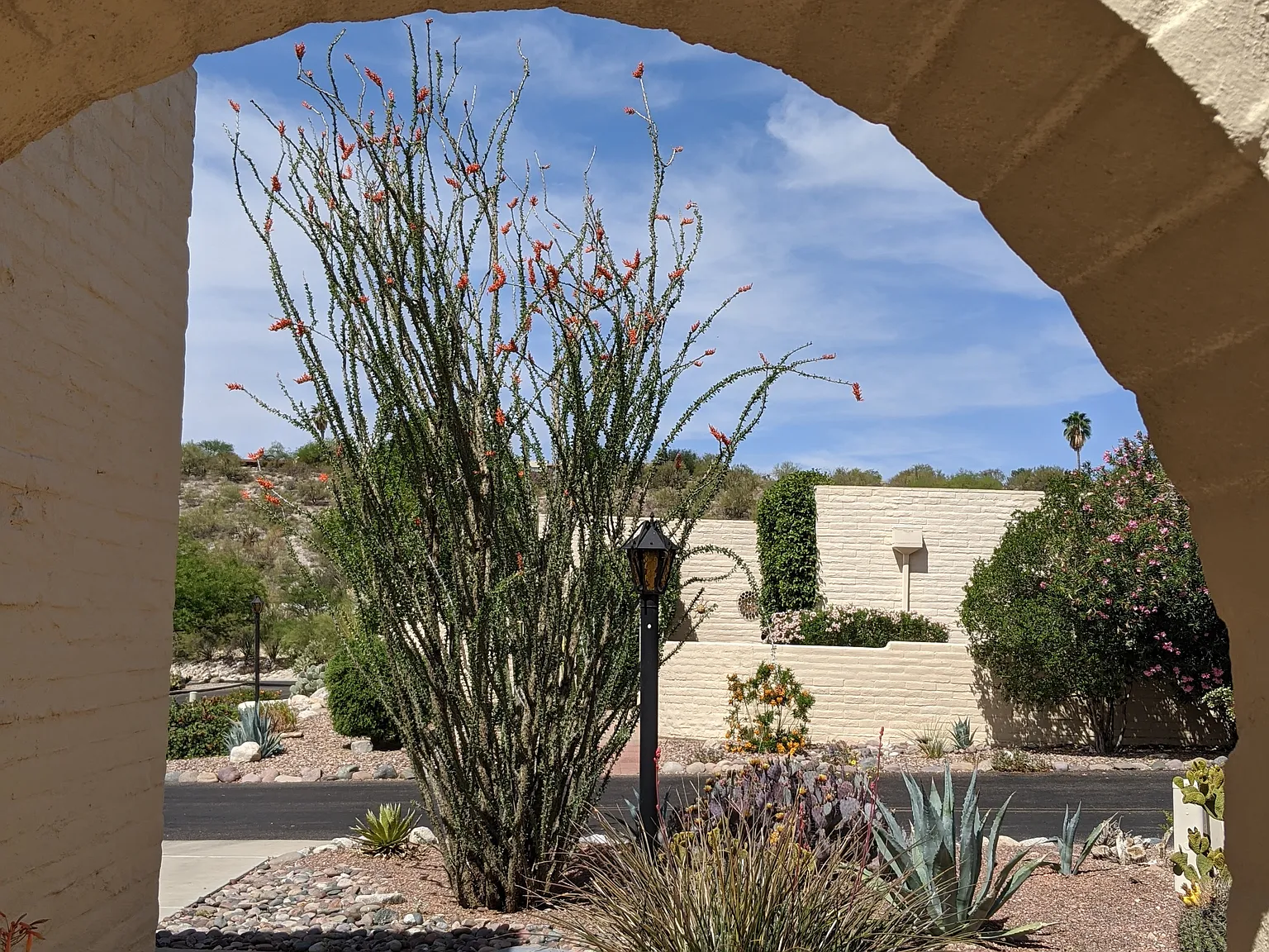 2 bed, 1509 sqft, $3,600 — Photo 3