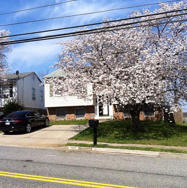 11600 Old Baltimore Pike BASEMENT, Beltsville, MD 20705 Zillow