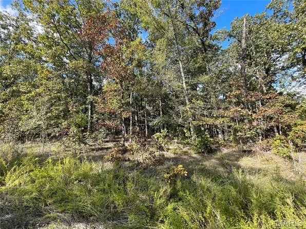 9 Woodland Dr, Poplar Bluff, MO 63901