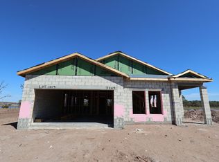 7749 Painted Sky Pl, Land O Lakes, FL 34637