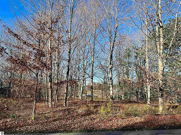 5th image of 0 Martin Dr