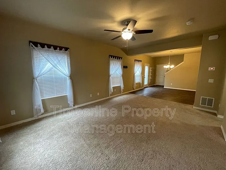 7673 Crestone Peak Trl — Photo 13
