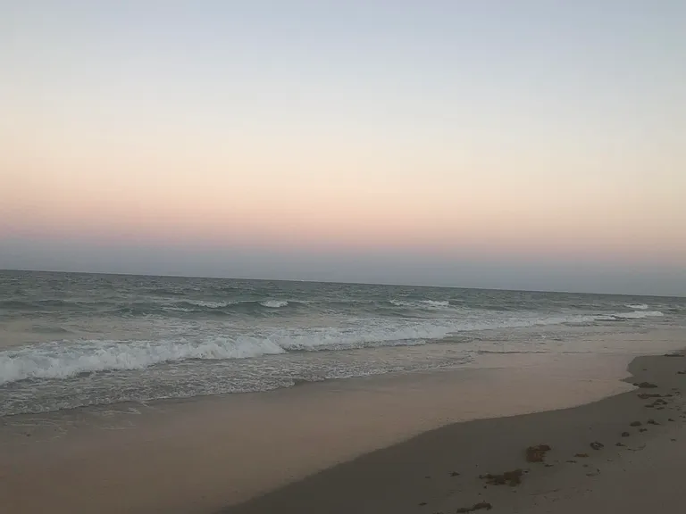 5159 N Highway A1A #311-B — Photo 69