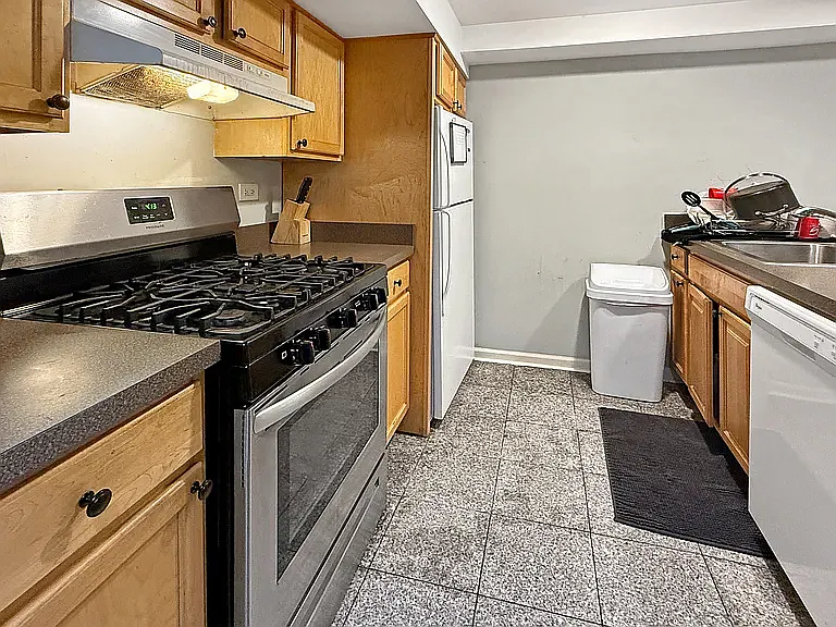 1513 W Addison St #BASEMENT — Photo 9