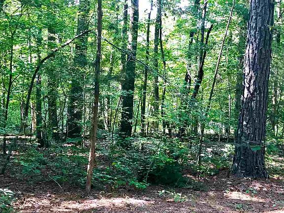 5th image of 4 Arcadia Ln Lot 4