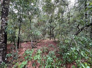 Rintz St #2, Interlachen, FL 32148