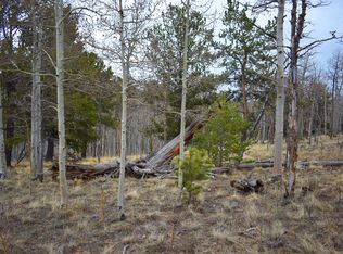 384 Raven Way, Como, CO 80432