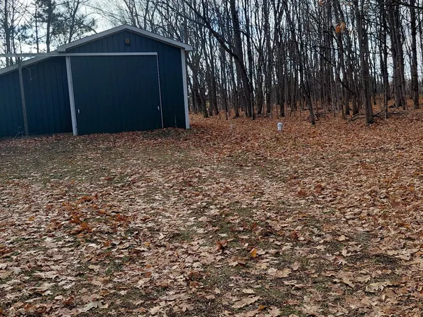 4547 Potter Rd, Bear Lake, MI 49614
