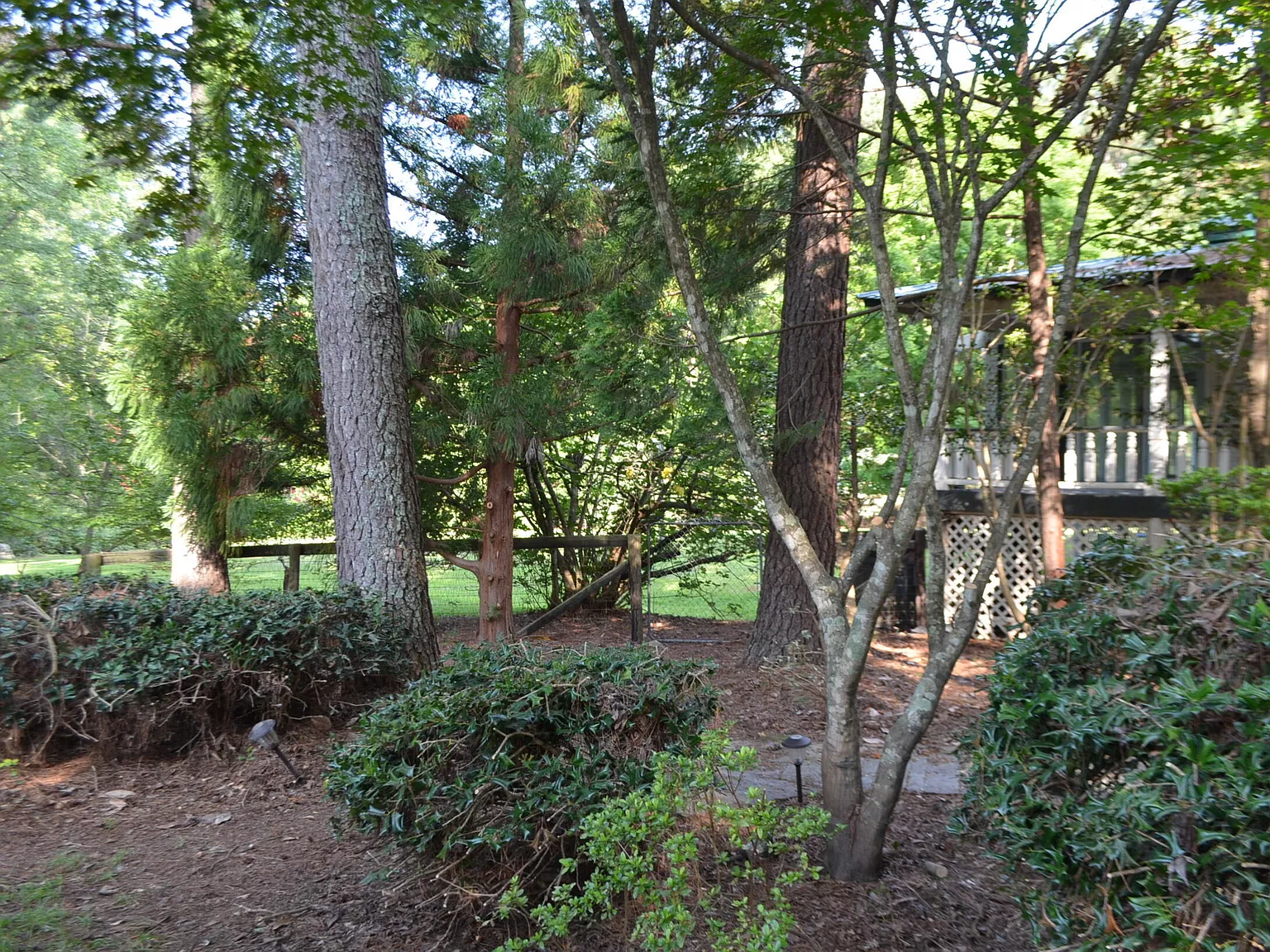 2 bed, 2.0 bath, 2000 sqft, $3,500 — Photo 4
