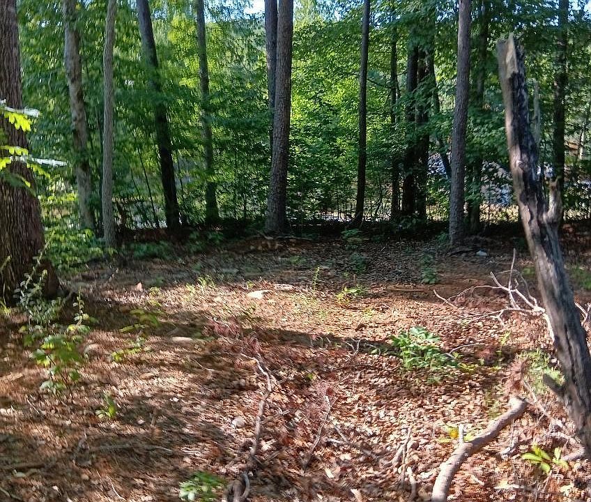 1st image of 133 Sunny Ln
