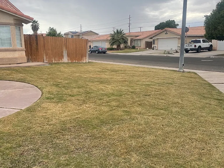 680 Sequoia St — Photo 3