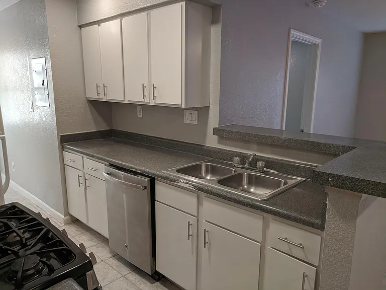 Stainless steel dishwasher