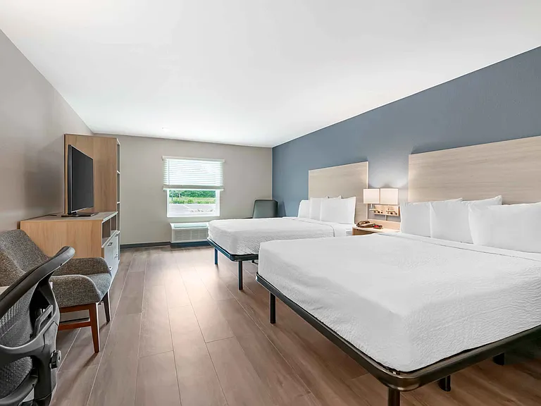 Studio Suite - 2 Queen Beds