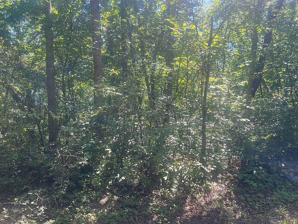2nd image of LOT 2 Montrose Rd
