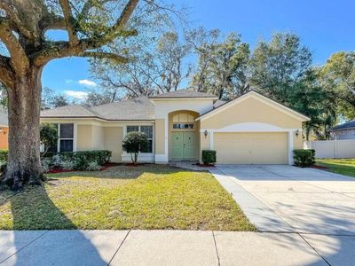 1060 Shimmering Sand Dr, Ocoee, FL, 34761