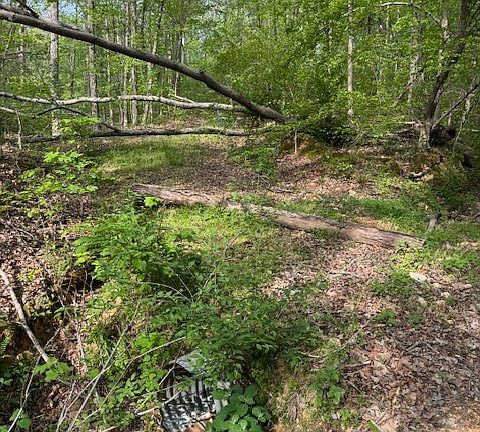 5th image of 455 Moss Spring Hollow Rd