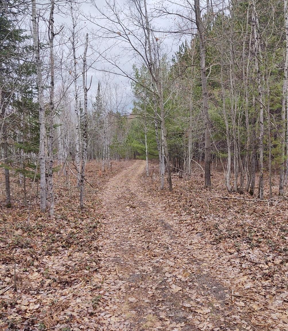 M68/33 Hwy, Onaway, MI 49765 Zillow