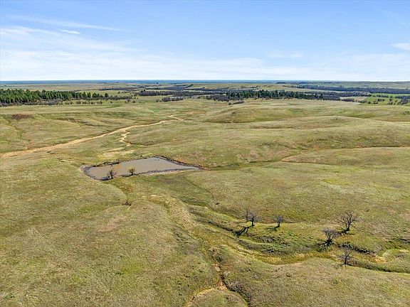 5th image of Tbd Other