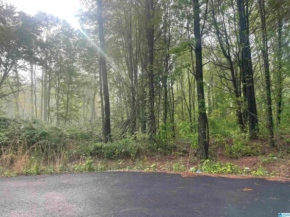 Courtney Dr #14, Eva, AL 35621