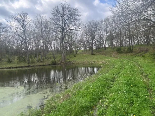 493 SW 1000th Rd, Chilhowee, MO 64733